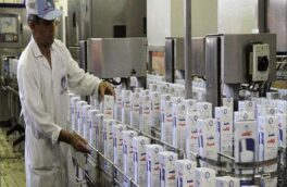 “شیر”، کاهش فروش “دوغ” را جبران کرد؛ افزایش درآمد ۷۶ درصدی “غگیلا”/فروش “غگیلا” بر مدار شیر