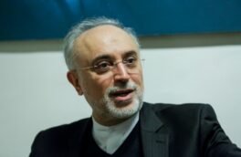 صالحی: اورانیوم ۶۰ درصد ربطی به سوخت راکتور تهران ندارد/ غنیسازی در نطنز متوقف نشده است