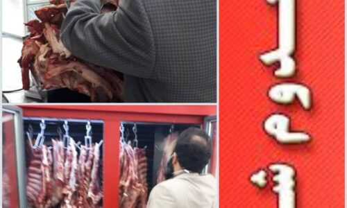 ۸۰ کیلوگرم گوشت فاسد در لاهیجان معدوم شد
