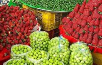 قیمت میوه های نوبرانه اعلام شد