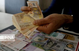سخنگوی کمیسیون اقتصادی مجلس: ارز ترجیحی اقتصاد کشور را معتاد کرد