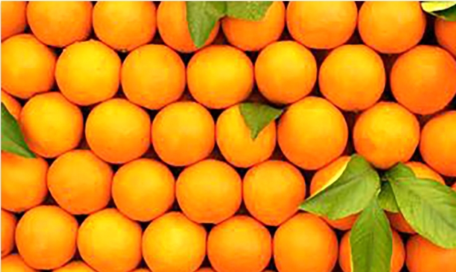 قیمت پرتقال شب عید بالای ۱۰ هزار تومان + جزئیات