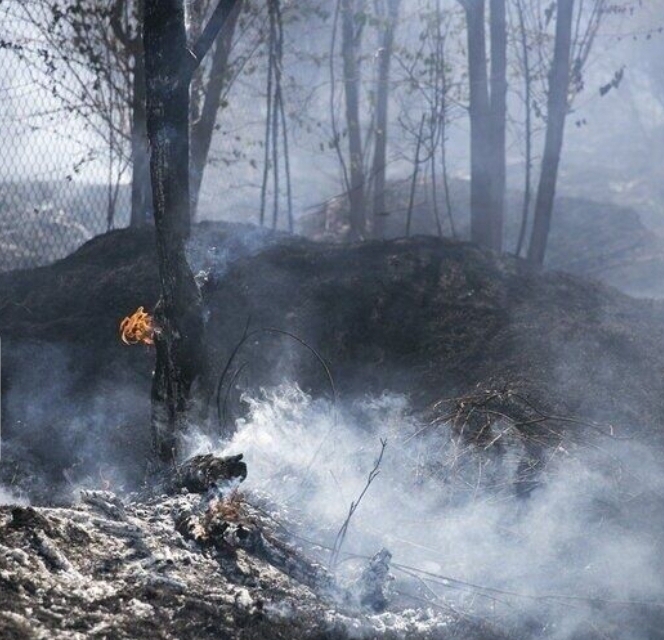 اطفا حریق در تمامی مراتع و مناطق جنگلی درگیر آتش گیلان