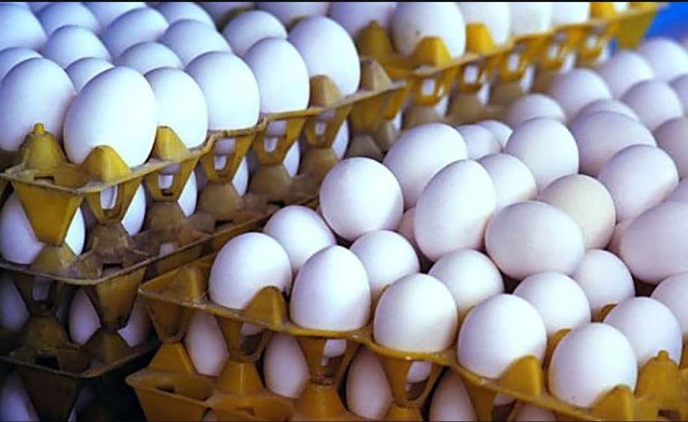 قیمت هر شانه تخم مرغ از ۵۰ هزار تومان گذشت