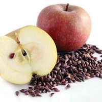 مصرف دانه سیب خطرناک است؟
