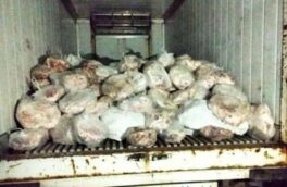 در تداوم نظارت تیم های بازرسی فرمانداری، صورت پذیرفت؛ کشف ۱۳۳۰ کیلوگرم گوشت فاسد در بازار رشت/حبس و جریمه در انتظار متخلفین