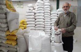 برنج قهوهای؛ محصولی با ارزش غذایی بالا ،بیگانه با سفره ایرانی