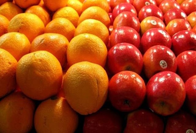 رئیس سازمان صمت گیلان خبر داد: آغاز توزیع میوه تنظیم بازار در گیلان