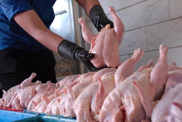 کشف ۱۵۰۰ کیلوگرم گوشت مرغ فاقد مجوز در رودسر