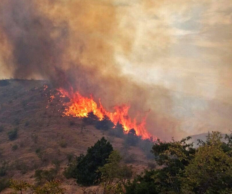 منابع طبیعی در باره آتش‌سوزی عرصه‌های طبیعی مازندران هشدار داد
