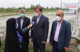 آغاز کشت مکانیزه برنج در گیلان با حضور استاندار؛ توصیه مهم استاندار به کشاورزان برای انجام نشاء برنج مطابق با تقویم زراعی / تداوم حمایت از توسعه مکانیزاسیون در فرآیند تولید محصول / استفاده از ارقام مقاوم به کمآبی، ترویج شود