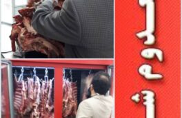 ۸۰ کیلوگرم گوشت فاسد در لاهیجان معدوم شد