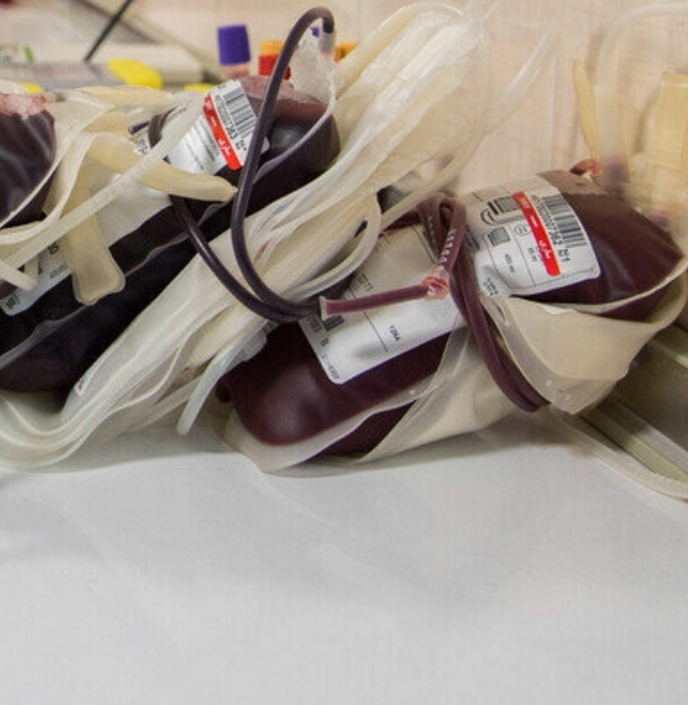 کاهش ذخیره خونی در گیلان