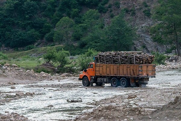 مدیرکل منابع طبیعی گیلان: افزایش ۳۲ درصدی کشف چوب  آلات جنگلی/ تصرف؛ دامن گیر اراضی ملی گیلان