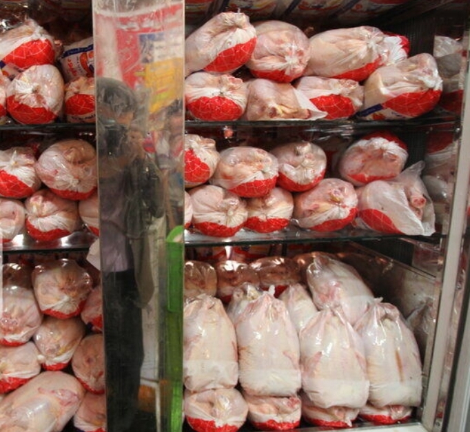 روزانه ۲۵۰ تن مرغ گرم در گیلان توزیع می شود