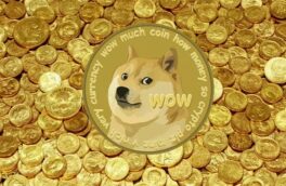 دوج کوین پس از ادغام با eToro ارزش بازاری بیشتری از تتر پیدا کرد