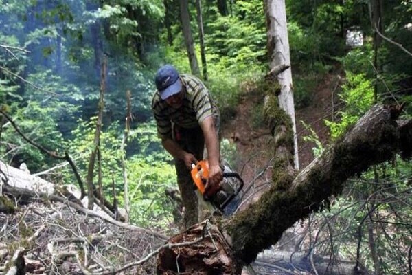 فرمانده یگان حفاظت منابع طبیعی گیلان عنوان کرد تشدید مقابله با قاچاق چوب آلات جنگلی در شهرستان های گیلان