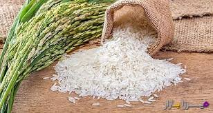 تقسم‌بندی ارقام جدید برنج کشور در ۳ گروه