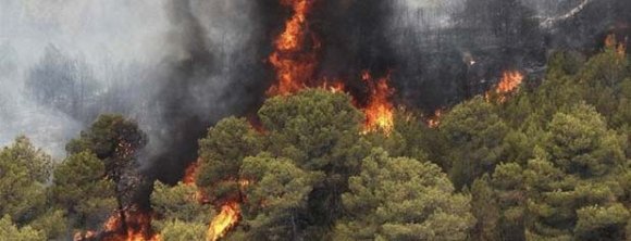 بیش از ۱۰۰ آتش سوزی در طول سه ماه آتش دارد جنگل‌های زاگرس را خاکستر می‌کند