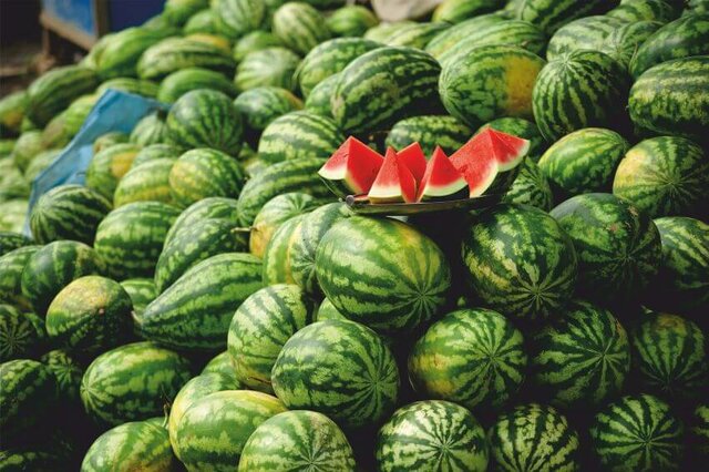 پیش‌بینی برداشت بالغ بر ۶۶ هزار تن هندوانه در گیلان