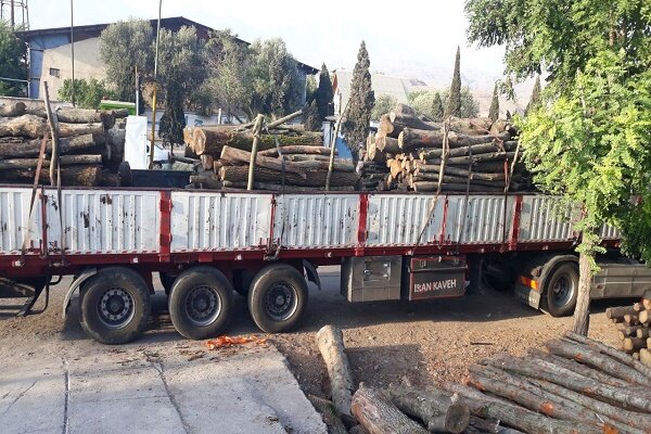 رئیس اداره منابع طبیعی رودبار خبر داد کشف ۱۰۰ اصله چوب جنگلی قاچاق در لوشان