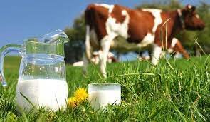 اثرمنفی افزایش قیمت شیرخام بر مصرف لبنیات