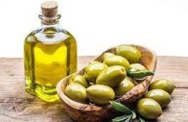 پایین بودن مصرف سالانه روغن زیتون در گیلان
