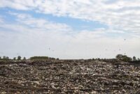 ♦بیش از یک میلیون تن زباله سوغات مسافران نوروزی برای گیلان