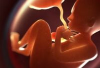 ♦معاون وزارت بهداشت: اگر اثبات شود که سقط جنین انجام شده، پرونده مطب باطل می شود