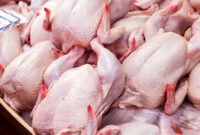 توقیف یک و نیم تن مرغ بدون مجوز در چابکسر