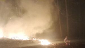 آتش سوزی  ادامه دار، در مناطق جنگلی گیلان
