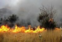 آتش سوزی در مرتع و علفزار‌های ۳ شهرستان گیلان