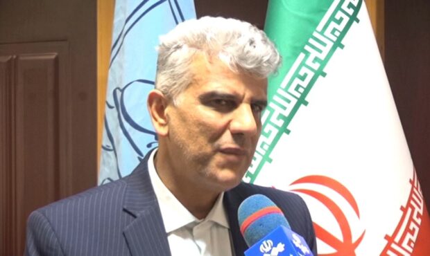 کشف گورستان ۳ هزار ساله در جنگلهای هیرکانی کشف گورستان ۳ هزار ساله در جنگلهای هیرکانی