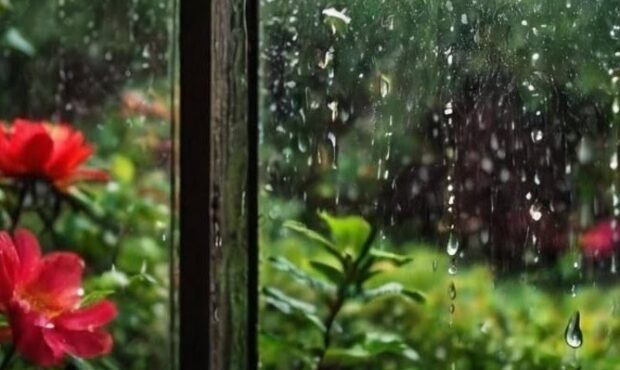 هوای بارانی گیلان؛ تا عصر جمعه هوای بارانی گیلان؛ تا عصر جمعه