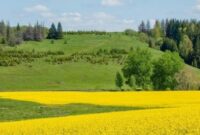 هفته‌ای گرم و شرجی پیش روی گیلانیان