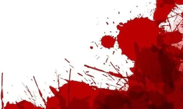 پسرعموکشی در بهارستان تهران پسرعموکشی در بهارستان تهران