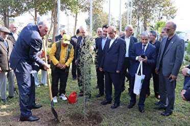 کاشت درخت صلح با حضور استانداران خزر کاشت درخت صلح با حضور استانداران خزر