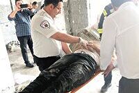 جان باختن کارگر ساختمانی در رشت بر اثر برق گرفتگی