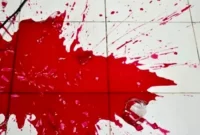 پسر به خاطر توپ‌بازی با چاقوی آشپزخانه پدرش را کشت!