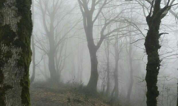 فوت کوهنورد لاهیجانی در مسیر «جنگل تاریک» فوت کوهنورد لاهیجانی در مسیر «جنگل تاریک»