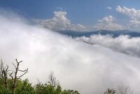 بارش باران و وزش بادهای شدید در گیلان بارش باران و وزش بادهای شدید در گیلان