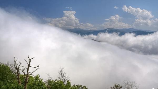بارش باران و وزش بادهای شدید در گیلان بارش باران و وزش بادهای شدید در گیلان